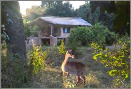 Zikomo Bushcamp is gelegen aan de rand van de Nsefu sectie van het national park langs de oever van de Rivier.