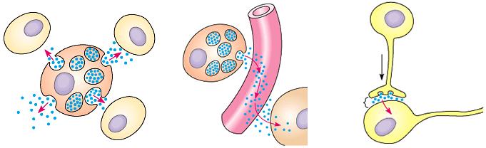 Signaaltransductie versie 2015-2016 Vragen bij COO over hoofdstuk 16 van Alberts Essential Cell Biology, 4e druk De vragen die voorkomen in het COO-programma zijn op dit formulier weergegeven.