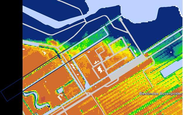 Figuur 4: Maaiveldhoogte in het oostelijke deel van de volkstuinen. Het is ook mogelijk dat de overlast wordt veroorzaakt door de te beperkte gemaalcapaciteit van de Bieslandse Bovenpolder.