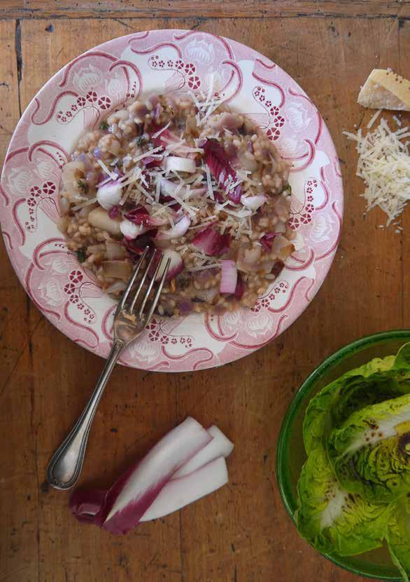 Roodlof-risotto met roodlof-peer salade VEGA HOOFDGERECHT ~ 35 MIUTE ~ S ~ 411 KCAL 2 rode uien 200 gram Calasparra rijst 6 stronken roodlof 80 gram Parmezaanse kaas 1 zakje gemengde sla 2 conference