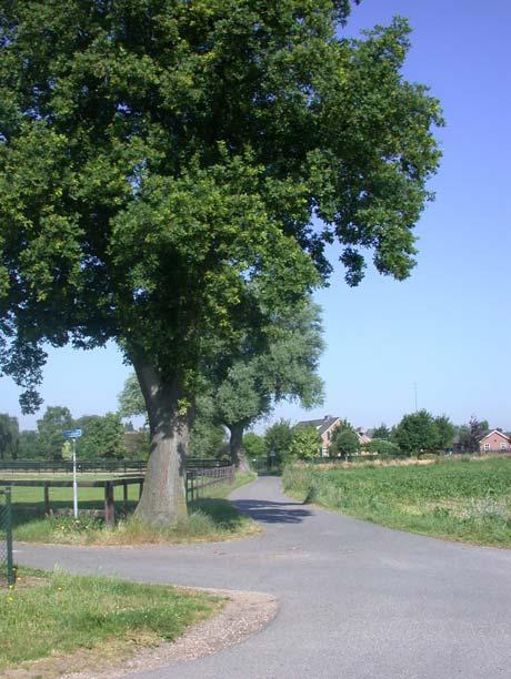 9 Ten behoeve van de ontsluiting van een te ontwikkelen deelgebied van Bijsterhuizen zal in de nabije toekomst de kruising van de Woeziksestraat, Kleine kamp en de Schoenaker worden aangepast.
