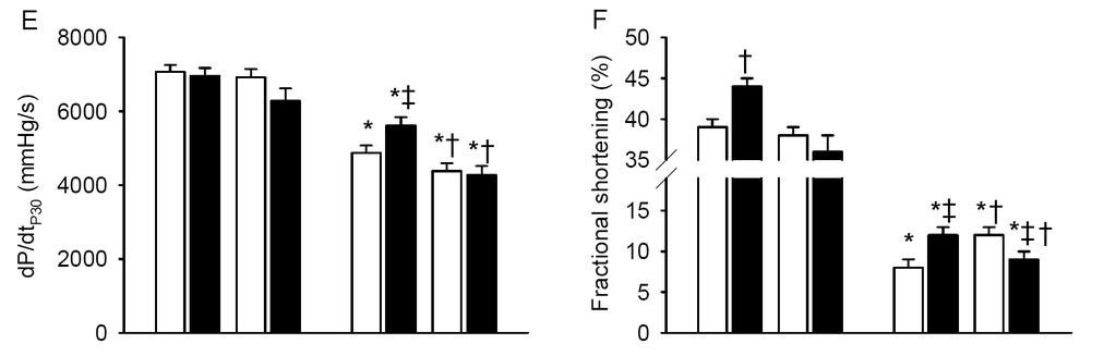 Exercise and LV Dysfunction and Remodeling after MI Endothelial Nitric Oxide Synthase Overexpression LV