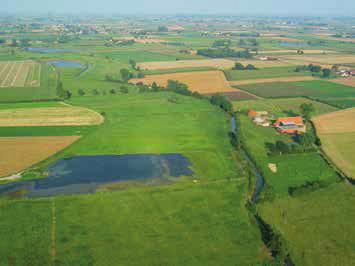 Natuur.oriolus I 81 (4) I 119-130 20-30 PROJECTEN 123 Figuur 3c. Vallei van de Heidebeek in Haringe. Links van de beek ligt Frankrijk, rechts ligt België.