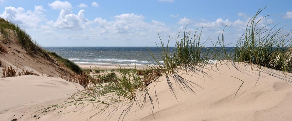 Ontspanningsoefeningen Progressieve relaxatie Suggestieve relaxatie Ontspannende voorstelling Stress management en relaxatie kunnen leiden