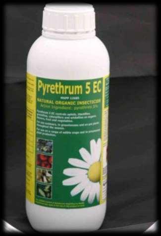 Pyrethrum ook nog. Plantenextract op basis van de in Afrika geteelde margriet.