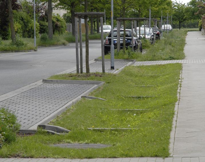 27 Langs wegen kunnen beplante