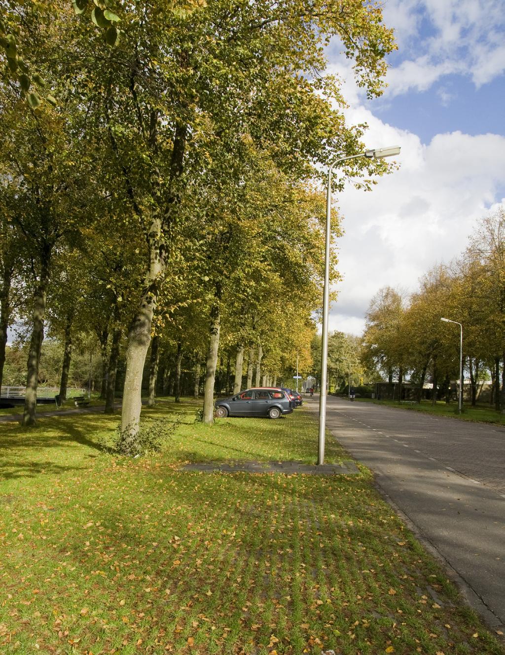 29 4 Open verharding parkeerplaatsen Waterdoorlatende halfverharding heeft diverse