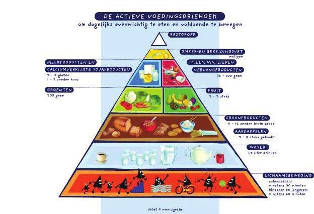 3. Evenwichtige voeding: de actieve voedingsdriehoek De actieve voedingsdriehoek vormt de basis van een gezonde voeding bij diabetes.