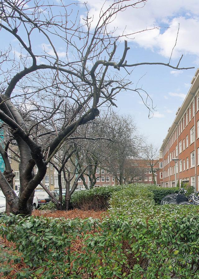 Algemeen Kenmerken Appartement, 4 kamers Waarvan 3 slaapkamers Woonoppervlakte 54 m2 Zonnig balkon op het noordwesten