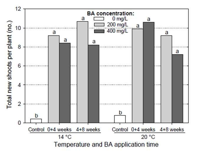Fig. 3. Invloed van BA en temperatuur op scheutvorming Zygopetalum Redvale Fire Kiss (Blanchard en Runkle 2010).