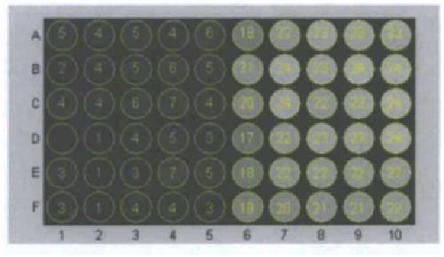 , 2013) Filter 1 In filter 1 wordt het beeld van 240 pixels verdeeld over 60 elektroden, elk met hun eigen intensiteit.