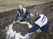 Uitspoelinggevoelig Humusarme zandgrond Tekort 400-2000 kg minder ds