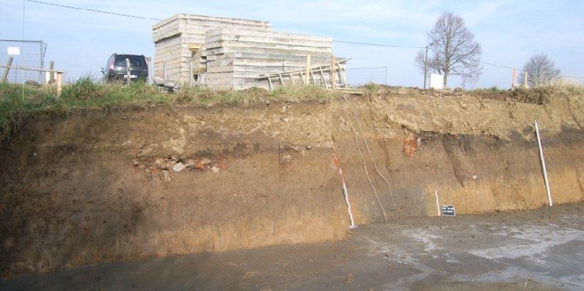 Fig. 10 Beeld van het westprofiel (profiel AB) in de bouwput ( Onroerend Erfgoed). Fig.