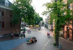 De bomen werden om hun resistentie tegen vervuiling in de laatste decennia van de vorige eeuw massaal in de stad toegepast.