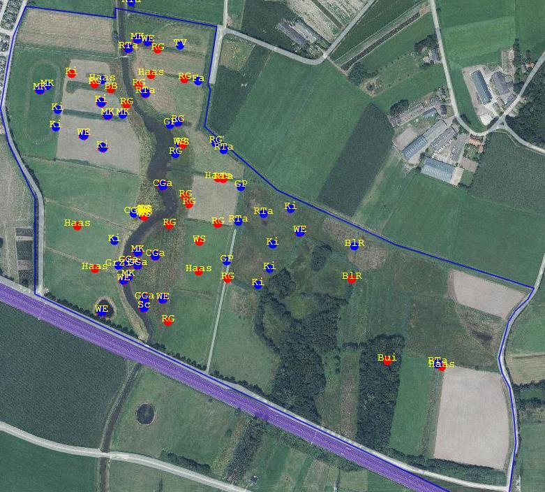 De gedragingen van de vogels worden zo veel mogelijk vanaf de wegen in het gebied geobserveerd, om verstoring van gedrag zo goed mogelijk te voorkomen.