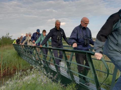 locaties met een openbaar karakter in gevangenschap gehouden roofvogels en uilen tentoon te stellen, ermee te paraderen of om deze dieren op welke wijze dan ook te betrekken bij publieke evenementen.