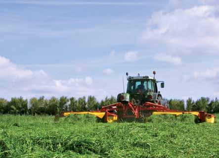 De wortels van NutriFibre gaan tot meer dan 100 centimeter diep de grond in, terwijl Engels raaigras gemiddeld 25 centimeter diep wortelt.