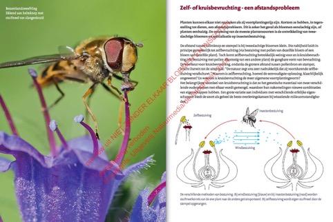 Niet zonder elkaar met dubbele korting Niet zonder elkaar. Dit is de titel van een natuurboek dat NatuurMedia Uitgeverij in maart 2015 uitbrengt. Het onderwerp is bloembestuiving.