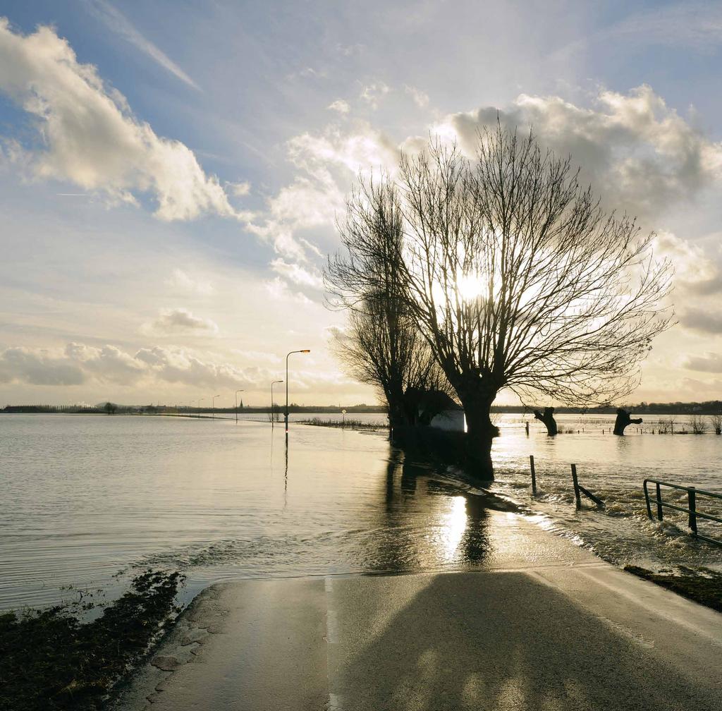 zige overhoogte) en is er benedenstrooms vanaf Heusden op de dijken nog 20 centimeter extra verhoging nodig om de opgaven op te lossen.