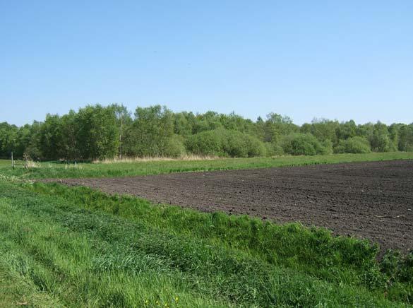 Foto 4 Op de achtergrond het Woldlakebos Zo is het Woldlakebos (foto 4), in het noorden van het deelgebied Scheerwolde, nu een onontgonnen relict van het laagveenmoeraslandschap.