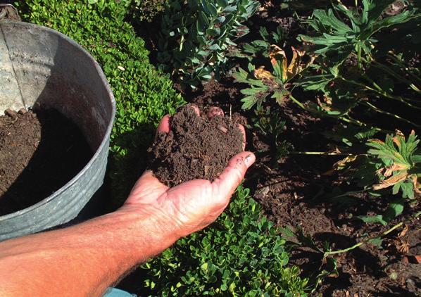 p. 22 Composteer zelf je keuken- en tuinresten tot kwaliteitsvolle