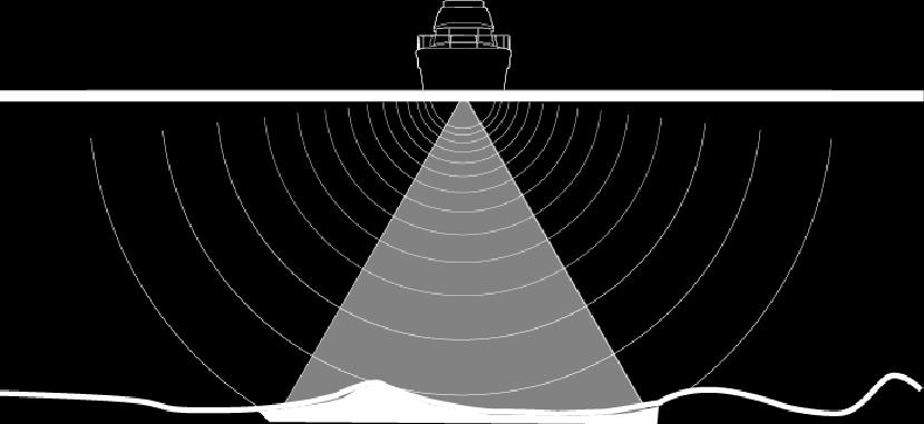 StructureScan biedt een grote, gedetailleerde dekking met SideScan, terwijl DownScan gedetailleerde beelden maakt van structuren en vissen recht onder uw boot.