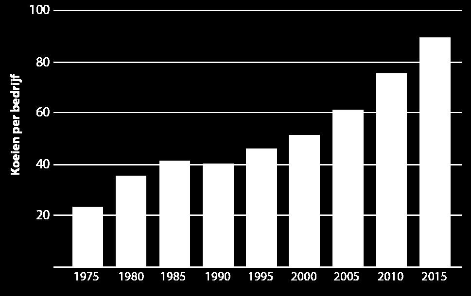 In 2014 waren dit er 15 en in 2015 maar liefst 27. Nu het melkquotum is afgeschaft, zal de bedrijfsgrootte vermoedelijk alleen maar toenemen en daarmee ook de kalversterfte.