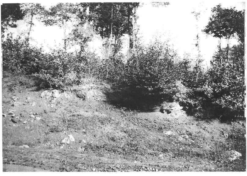 KS&BStt Plaat/Plate 49 Henri Le Secq, Een bosschage in het woud van Montmirail/ Woodland scene in the/orest