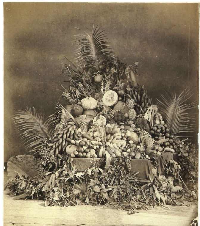 Plaat/Plate 81 Anoniem/Anonymous, Stilleuen met exotisch fruit/ Still life