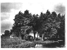 35 M.C. Buckmann, Naderend onuieer/approaching thunderstorm, c. 1904. Heliogravure/photogravure, 11,4 x 16,2 cm. Plaat 8 uit/plate 8 from Is Fotograjie Kunst? dl./vol.