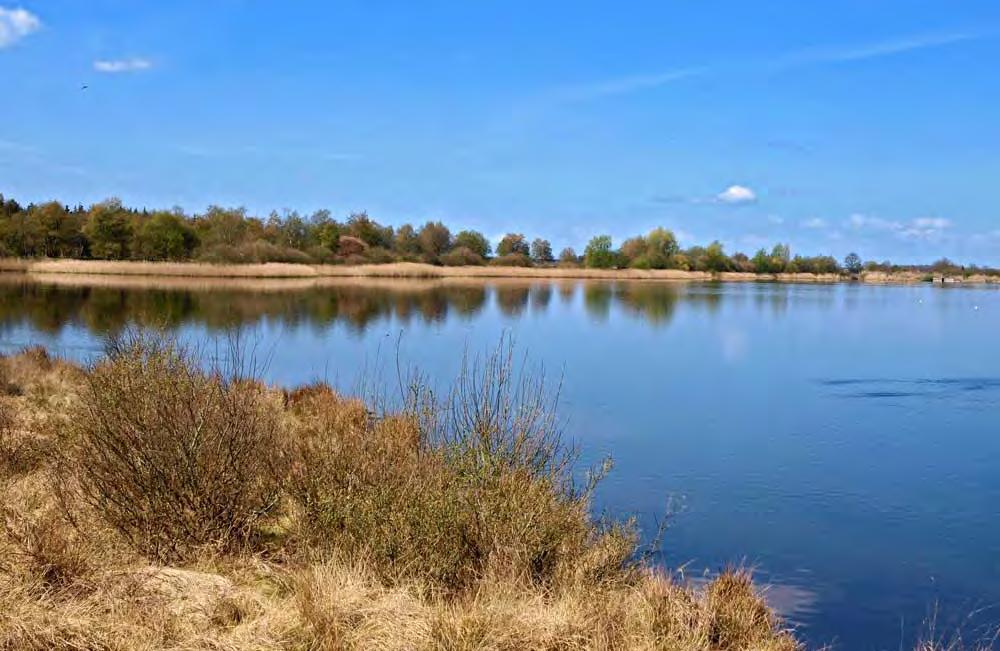 in deze laagte in de heide kon lozen Een forse kade moest ervoor zorgen dat het vieze water het bos niet in stroomde.