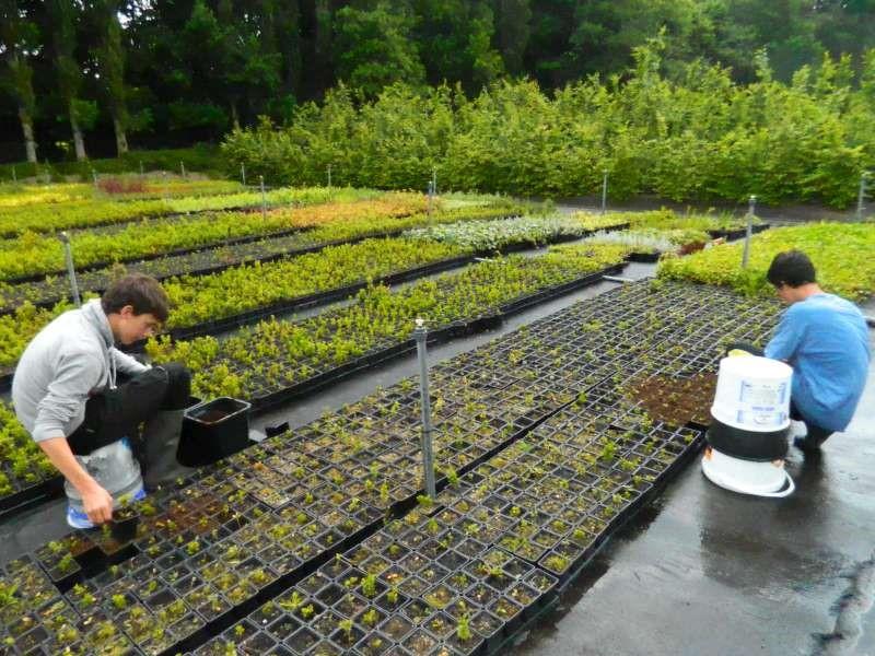 Tuinbouwarbeider De tuinbouwarbeider werkt mee aan de productie van groenten, fruit, bloemen, sierplanten en bomen. Hij vermeerdert, zaait of plant, verzorgt, oogst en sorteert.