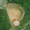 kas schildluizen Aspidiotus nerii Ernst van de ziekte of plaag: 5 Deze luizen leven onder een wasachtig schild dat los zit van de luis en waaronder de eitjes worden gelegd Biologisch werkt zeer goed