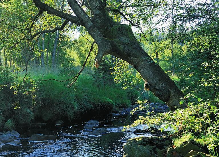 m Vallei van de Hill Stuw Natuurcentrum Huis