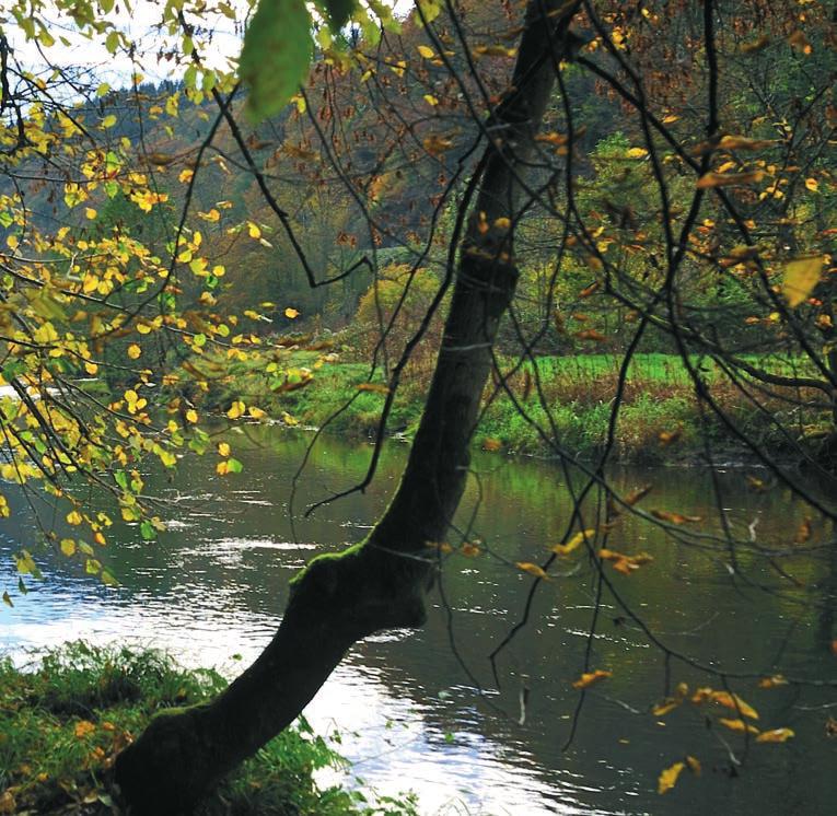 Edito Wandelen geeft de voorkeur aan het ontdekken van landschappen op een langzaam ritme. En de natuur past zich dit trage ritme graag aan. Luisteren, ruiken, aanraken En wandelen.