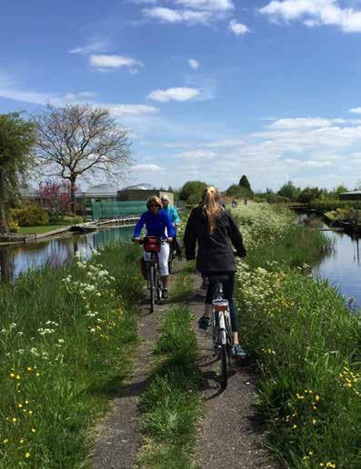 De locatie is zeer goed bereikbaar vanwege haar ligging langs de verbrede en verdiepte A4. Zo zijn de grote steden Rotterdam, Delft en Amsterdam binnen mum van tijd bereikbaar.