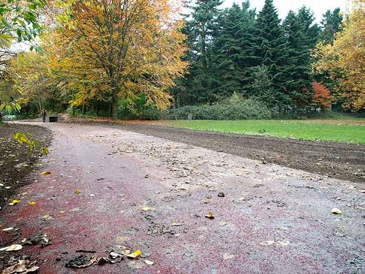 Het gedeelte ten westen van de Burgemeester Van Voorstweg tot aan de Vijfeikenweg in Rijen maakt onderdeel uit van de