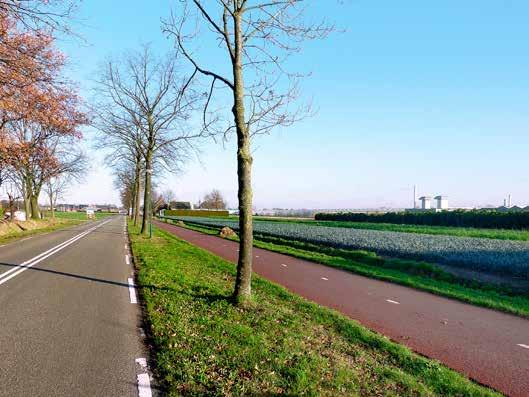 Met die maatregelen voldoet het fietspad Meester Janssenweg nu aan de