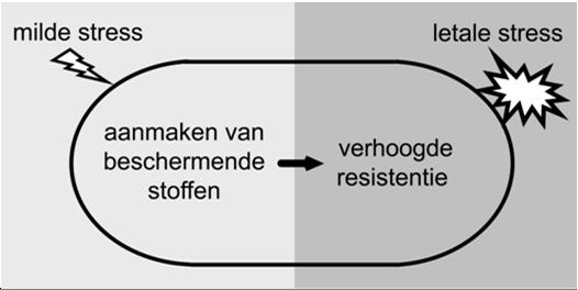 milde conservering lucht samenstelling zout toevoegen koel bewaren zuur toevoegen Mild