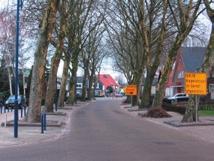 2 Bescherming waardevolle bomen Een belangrijke basis voor de bescherming van het bestaande boombestand is een degelijk beleid voor zowel gemeentelijke als particuliere bomen.