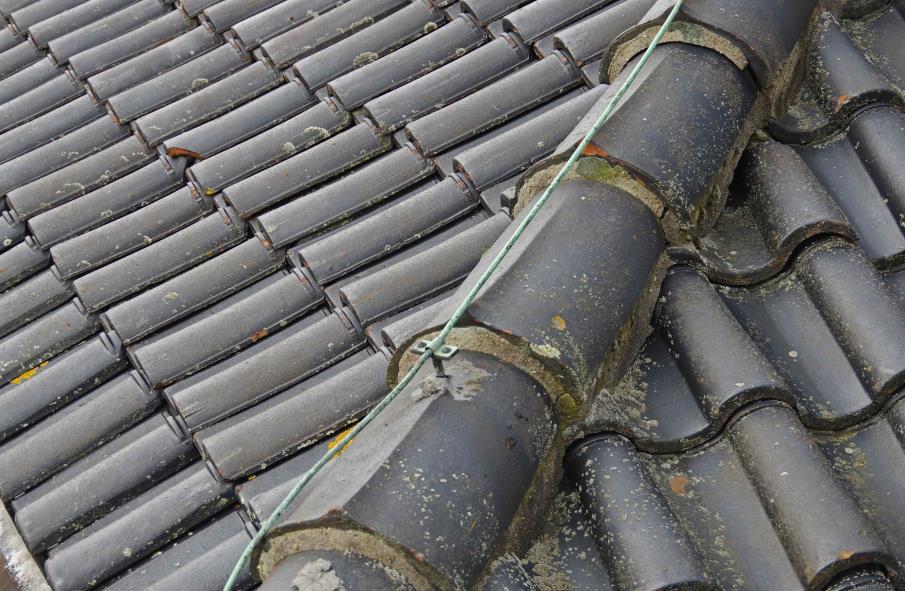 Schubvorsten op de keper van een dak