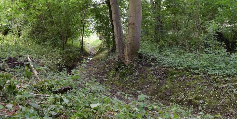 Voorstel groenstructuur het buitengebied Contrast tussen landschap en menselijke ingrepen: De landweer / Urdal / woongebieden / recreatieve routes Verbeteren van groen tussen Beek, Elsloo en Stein