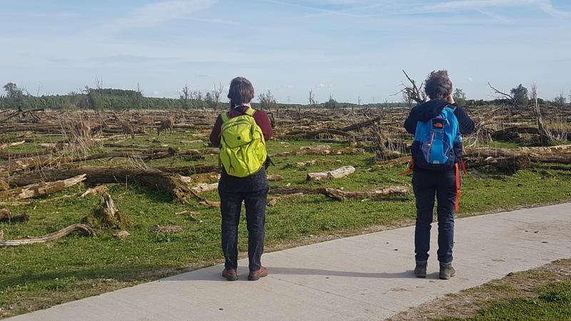 Avondexcursie Oostvaardersplassen, 23 mei 2017 Gids: Pim Op de afgesproken plek langs de Knardijk te Lelystad ontmoette ik Jacobien en Annelies omstreeks 18.00 uur.