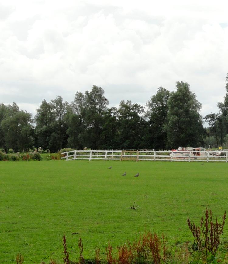 Paardenbak: 50 x 16/18 m.