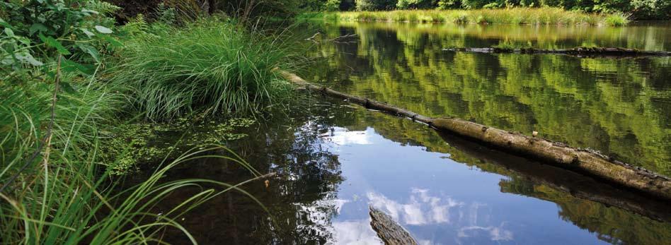 Wandelkaarten NGI-wandelkaarten De in deze brochure voorgestelde wandelingen zijn slechts een