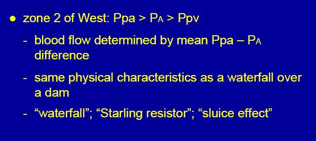 Pulmonary