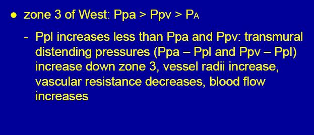 Pulmonary