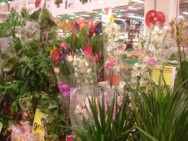 Planten en arrangementen in de supermarkten, vaak met veel plastic Tuincentra Bij de bloemist en de supermarkten komen we alleen het standaard assortiment tegen met hoofdzakelijk