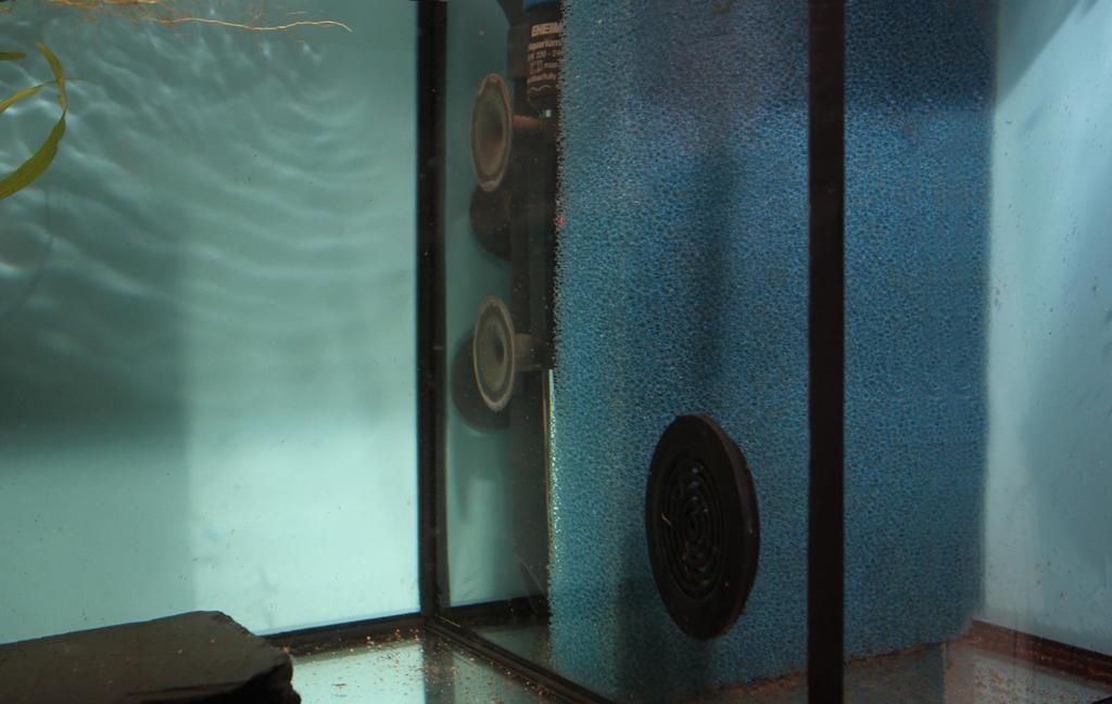 Het tussenschot en het kunststof rooster zijn netjes met zwarte aquarium siliconenkit vastgezet.