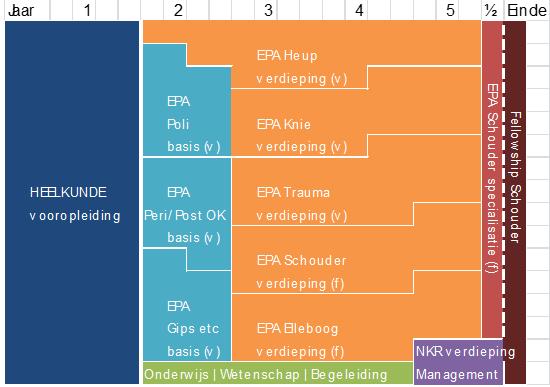 2.4 Registratie als orthopedisch chirurg Om registratie als orthopedisch chirurg bij de RGS te kunnen aanvragen dient de aios zijn C- formulier te ontvangen van de opleider.